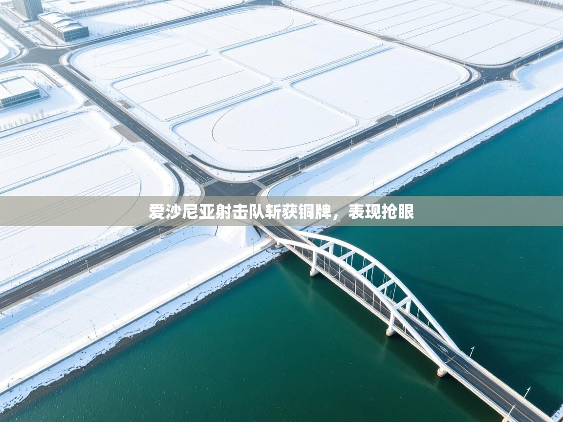 爱沙尼亚射击队斩获铜牌，表现抢眼  第2张