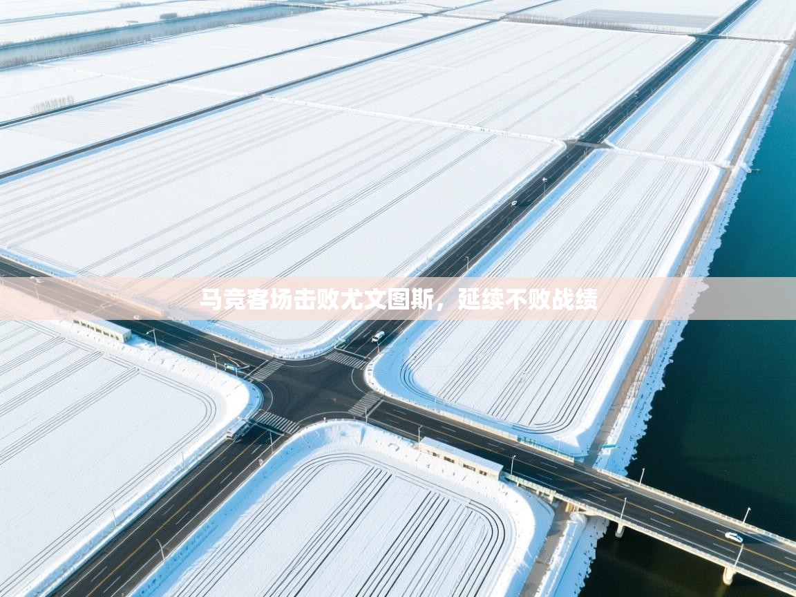 马竞客场击败尤文图斯,延续不败战绩 第1张