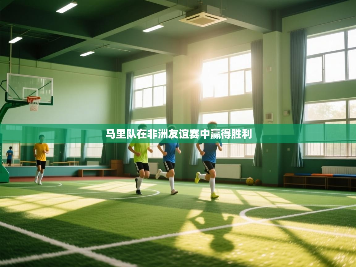 马里队在非洲友谊赛中赢得胜利  第2张